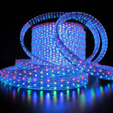 Гирлянда-шланг светодиодная дюралайт 10м 360 LED