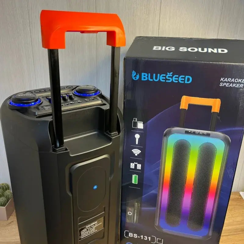 Колонка Bluetooth Wireless Speaker TTD-2820