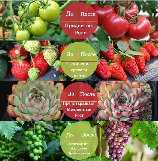 Фитолента для роста саженцев от USB питания фитолампа спектр LED 2 м