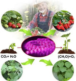 Фитолента для роста саженцев от USB питания фитолампа спектр LED 2 м