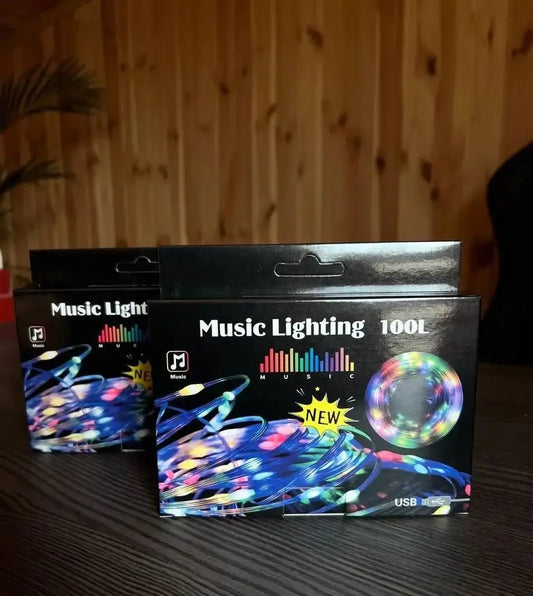 Гирлянда музыкальная с динамиком USB 10 м