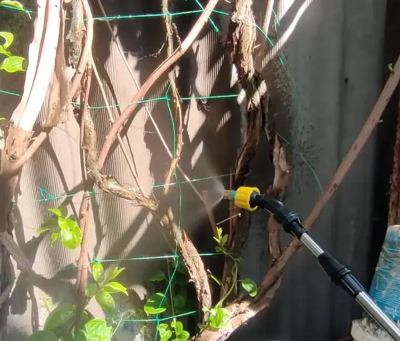 Портативный аккумуляторный опрыскиватель для растений / садовый опрыскиватель со шлангом AND LY-1014