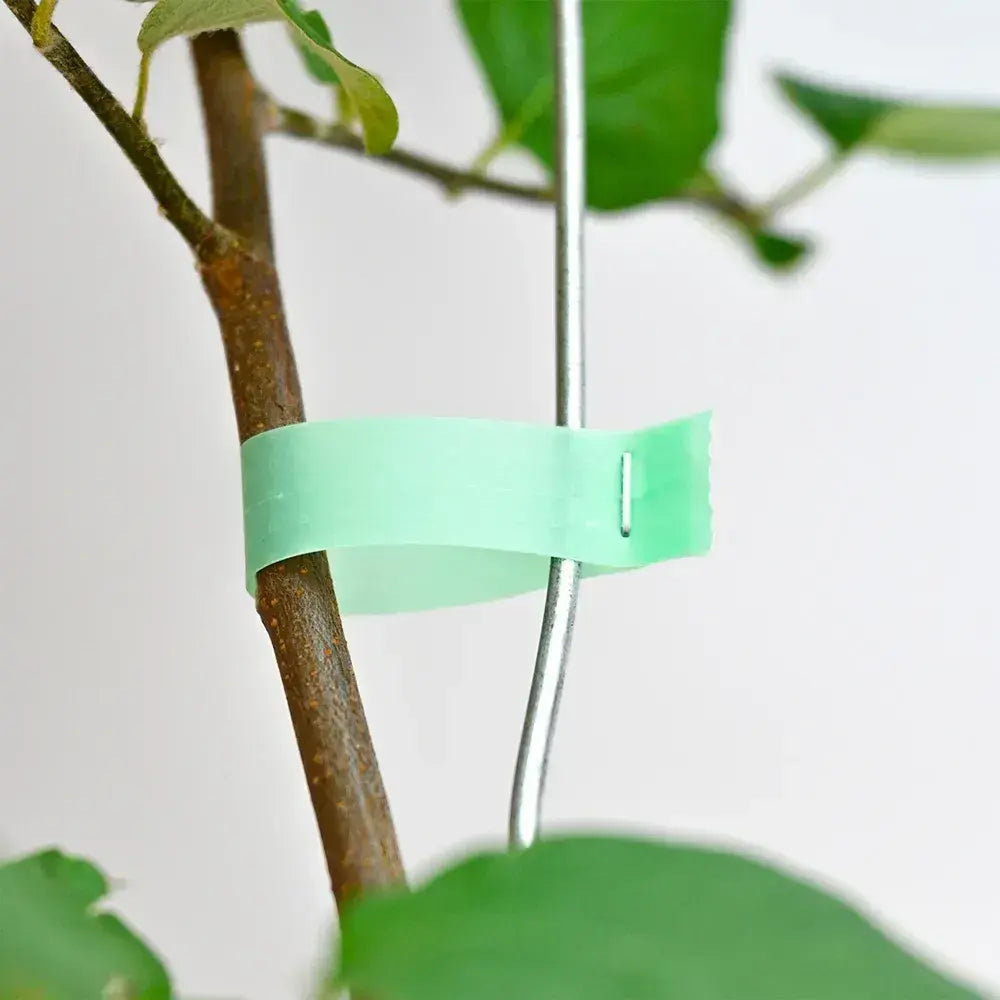 Скобы для садового подвязочного степлера 10000 шт, 6х4 мм, 604С / Упаковка скоб для тапенера